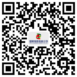 武汉绿动